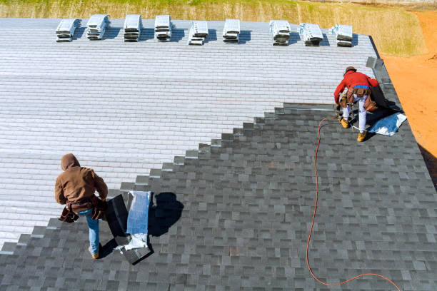 Professional Roofing Contractor in Eagle, CO